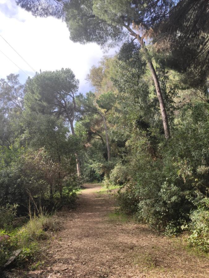 Beach Forest Paradise 马尔韦利亚 外观 照片